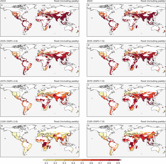 Fig. 3: Varying decreasing speed of flood irrigation fraction under two scenarios.