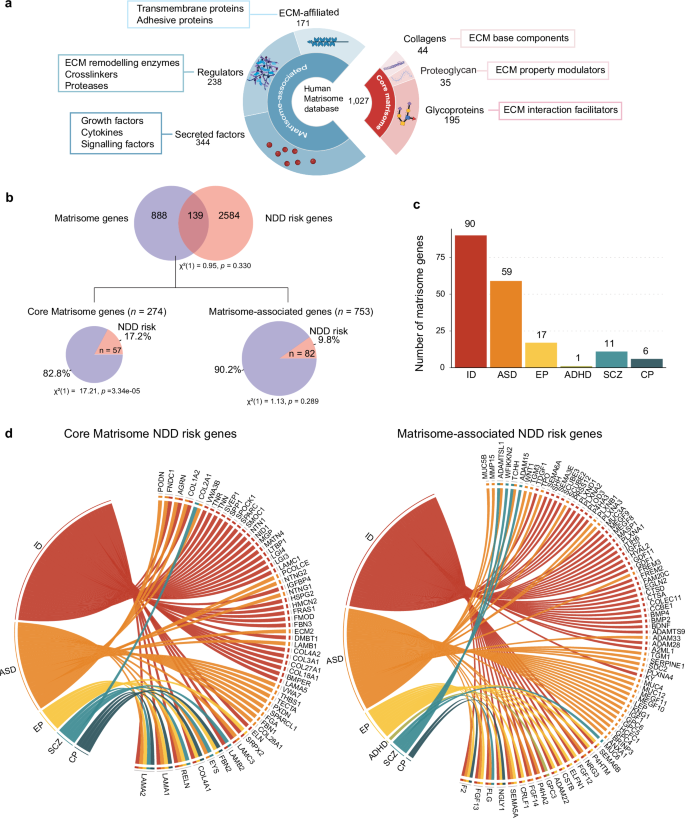 Fig. 1: Identification of NDD-Associated Matrisome Genes.