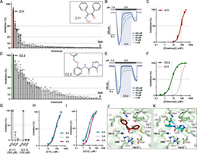 Fig. 2: Screening of small molecules against DrOTOP1 identifies inhibitors.