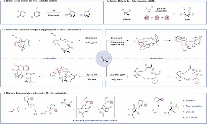 Fig. 1: Synthetic approaches to BCHs and key strategies for enantioselective BCHs synthesis.