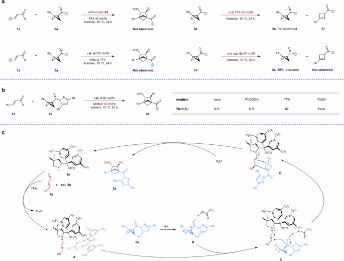 Fig. 5: Proposed mechanism.