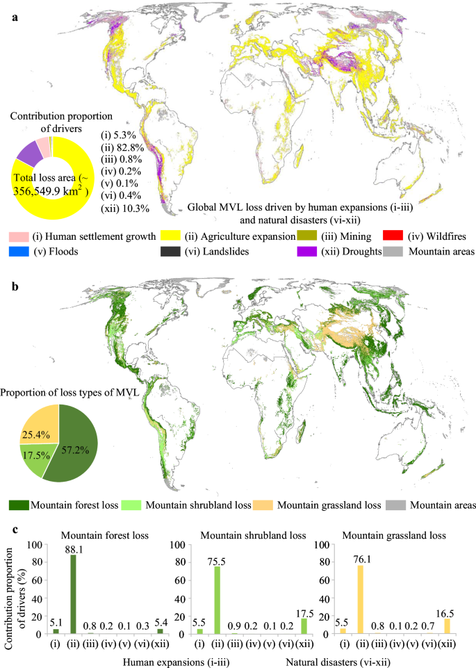 Fig. 1: Global MVL loss for the period 2000 to 2020.