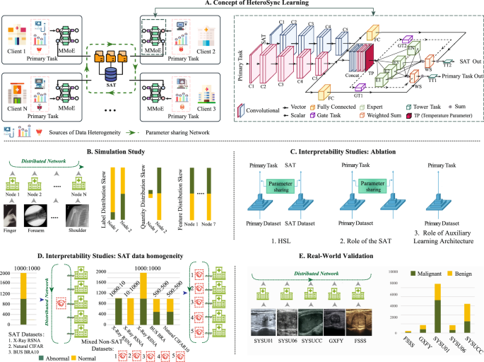 Fig. 1: Overview of the study design.