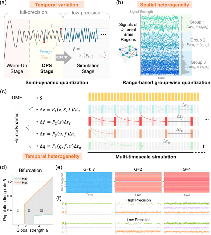 Fig. 2: Dynamics-aware quantization for low-precision brain dynamics modeling and simulation.