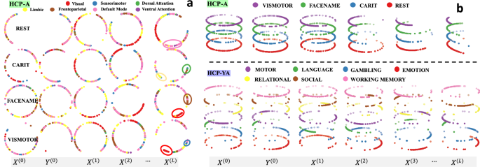 Fig. 3: Model interpretability: task-specific neural synchronization in phase space.
