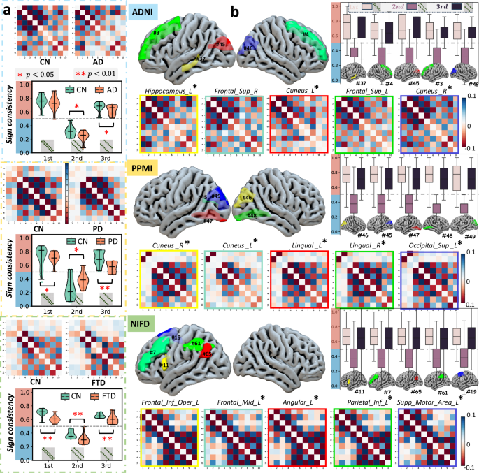 Fig. 6: The interference patterns of CFC emerged from HoloBrain.