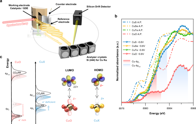 Fig. 4: In situ HERFD-XAS and mechanistic investigation of formate selective CO2RR.