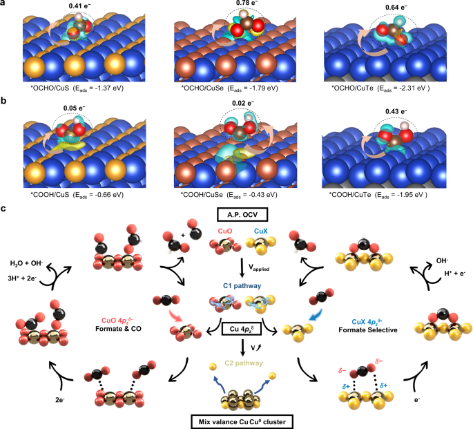 Fig. 5: Computational studies and CO2RR mechanistic understanding.