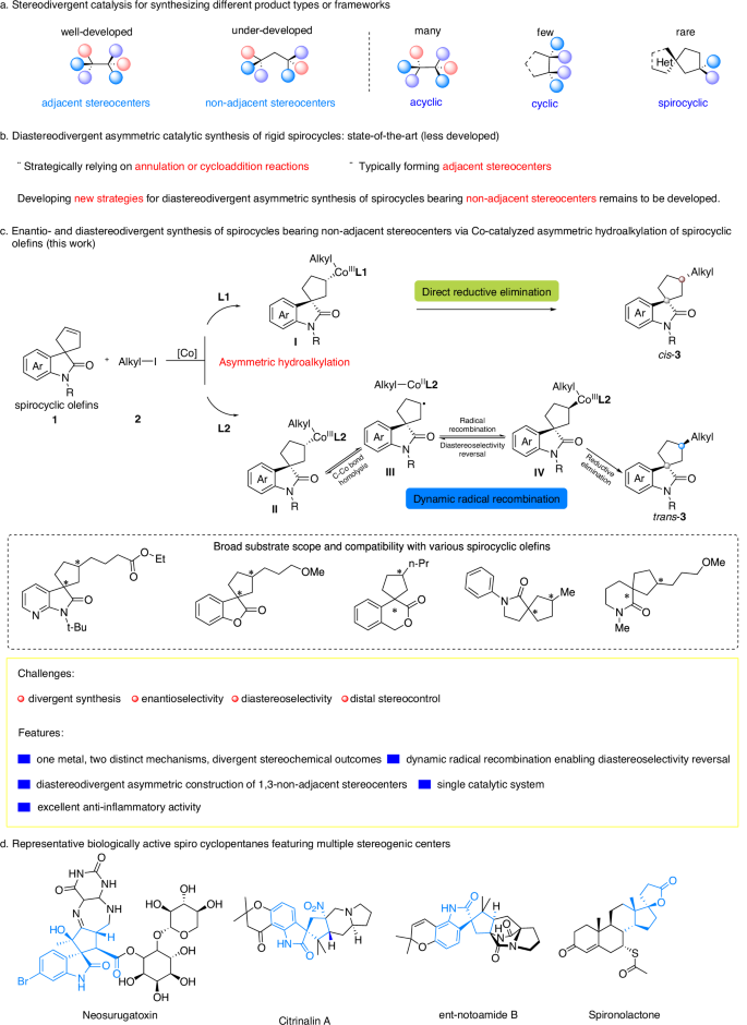 Fig. 1: Background of diastereodivergent asymmetric catalytic synthesis and our work based on dynamic radical recombination.