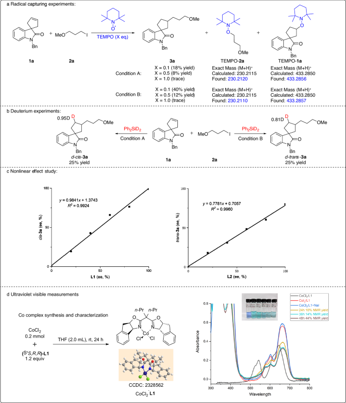 Fig. 2: Mechanistic investigations.