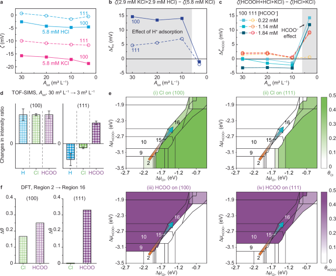 Fig. 6: Facet-dependent adsorption characteristics of competing ions.