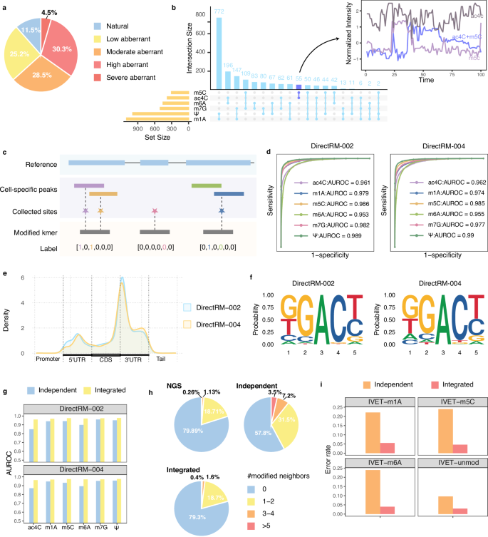 Fig. 2: Modification position and identity inference through the multi-label model.