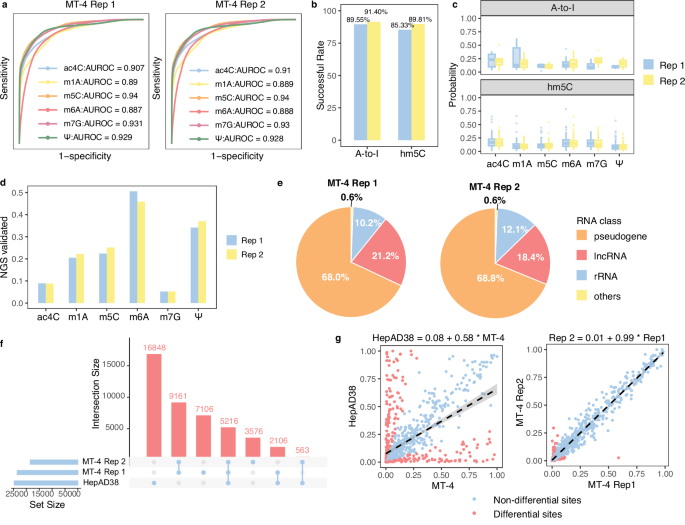 Fig. 4: Identification of modifications on the human MT-4 cell line.