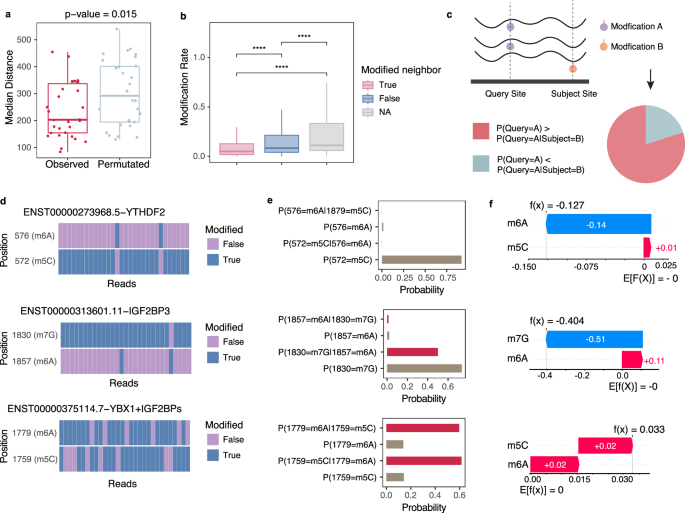 Fig. 6: Association between modifications.