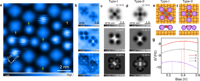 Fig. 2: Formation of oxalate anion on Cu(100) surface.