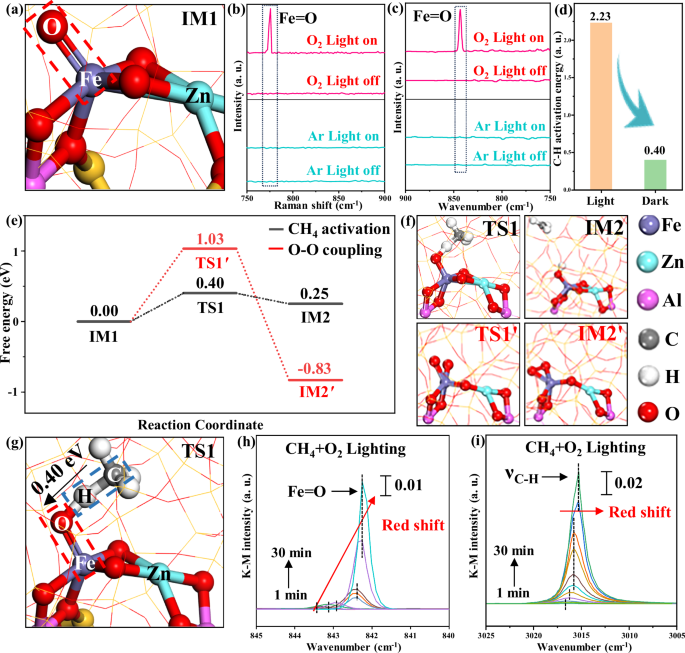 Fig. 4: CH4 activation enhanced by the Fe=O species on Fe-(μ-O)-Zn dual-atom sites.
