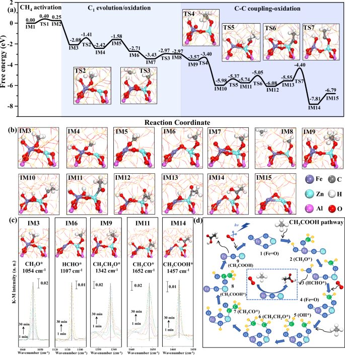Fig. 5: Reaction procedures of DOM toward acetic acid over Fe1-Zn1/ZSM-5.