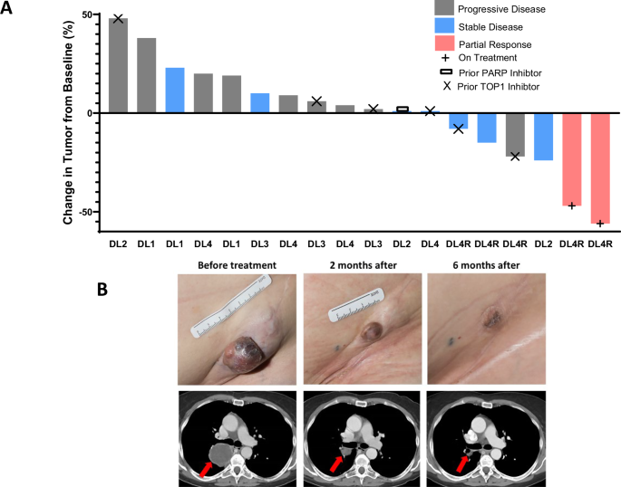 Fig. 2: Treatment Efficacy.