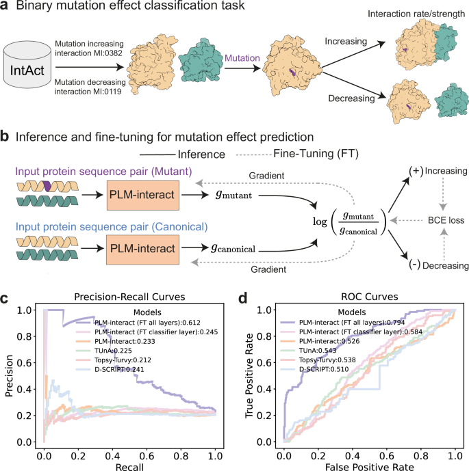 Fig. 5: Predicting mutation effects on protein-protein interactions (PPIs).