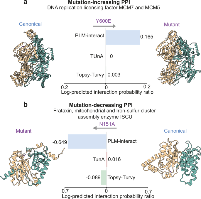 Fig. 6: Demonstration of PLM-interact detecting changes in human protein-protein interactions (PPIs) associated with mutations.