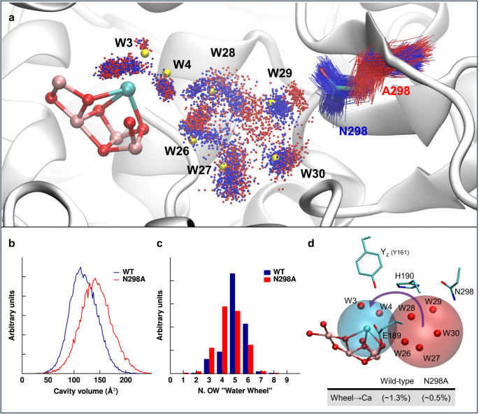 Fig. 7: Spatial boundaries, occupancy, and water exchange in the water wheel region.