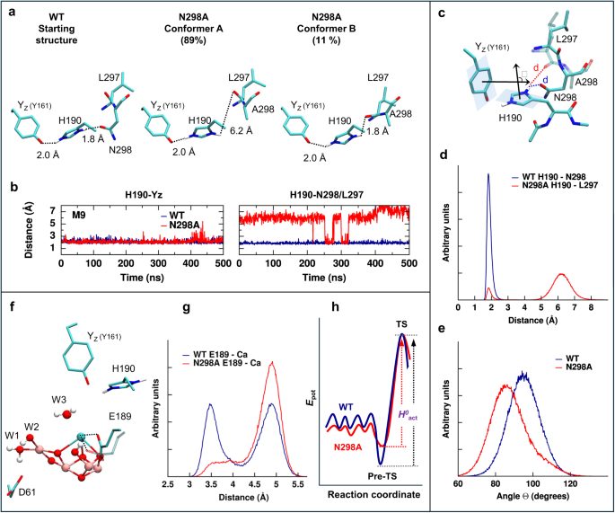 Fig. 8: Conformational dynamics linked to enthalpy-entropy compensation.