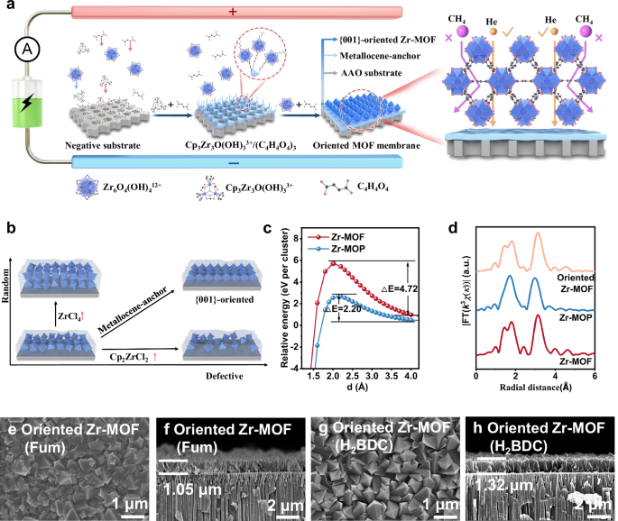 Fig. 1: Metallocene-anchored strategy induced the orientation of the MOF membrane.