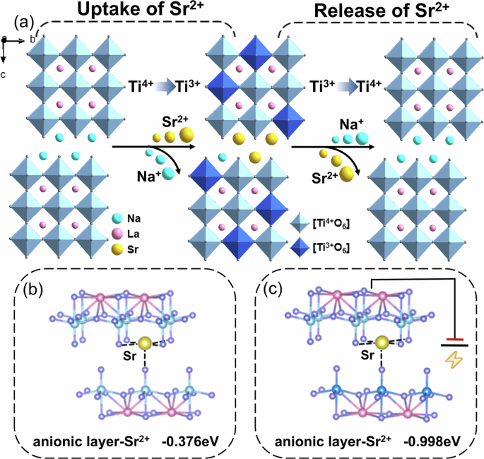 Fig. 5: Schematic diagram of the “electrochemically switched ion exchange” process and results of density functional theory calculations.