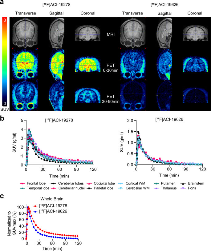 Fig. 4: Assessment of the pharmacokinetic profile of [18F]ACI-19278 and [18F]ACI-19626 as brain PET tracers in rhesus macaques.