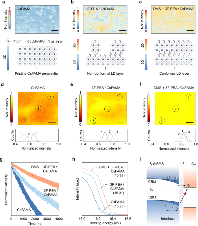 Fig. 3: Analyses of carrier dynamics.
