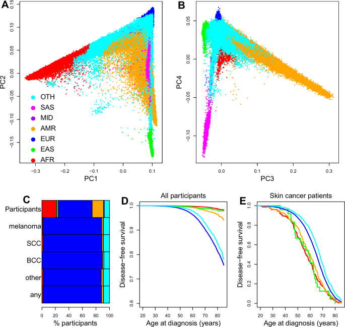 Fig. 1: Different skin cancer risk by ancestries.