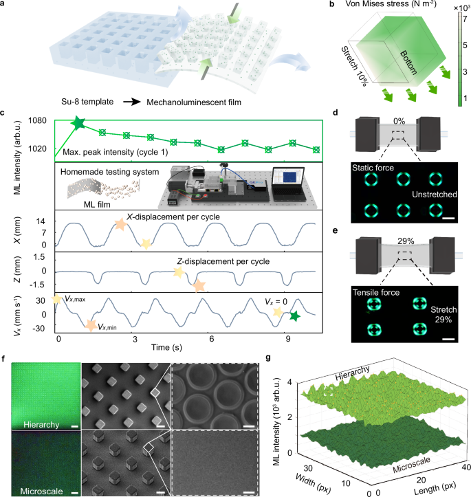 Visually encoded mechanoluminescence through hierarchical structuring ...
