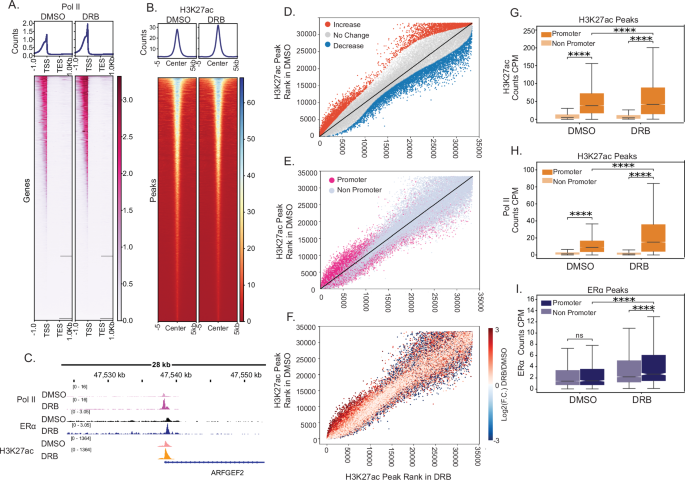 Fig. 5: Polymerase-paused regions exhibit increased levels of H3K27ac.