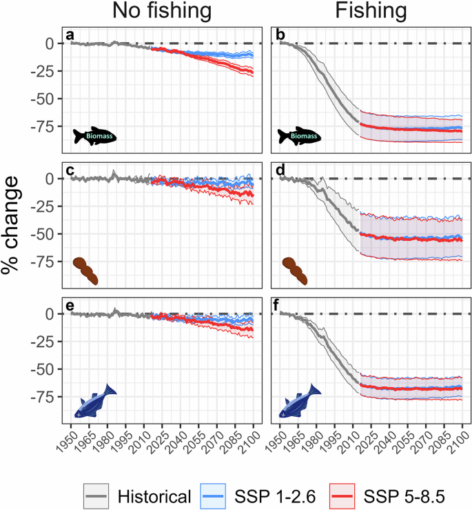 Fig. 2: Impacts of climate change and fishing on commercial macrofauna biomass and related carbon export.