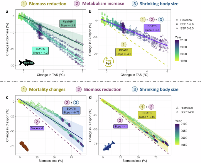 Fig. 3: Projected impacts of climate change and fishing on macrofauna biomass and carbon fluxes.