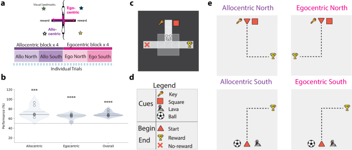 Fig. 1: Ego-allocentric task setup in animals and reinforcement learning agents.