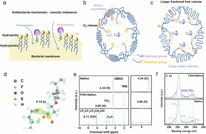 Fig. 1: Structural analyses of FOH-Nafion ionomer.