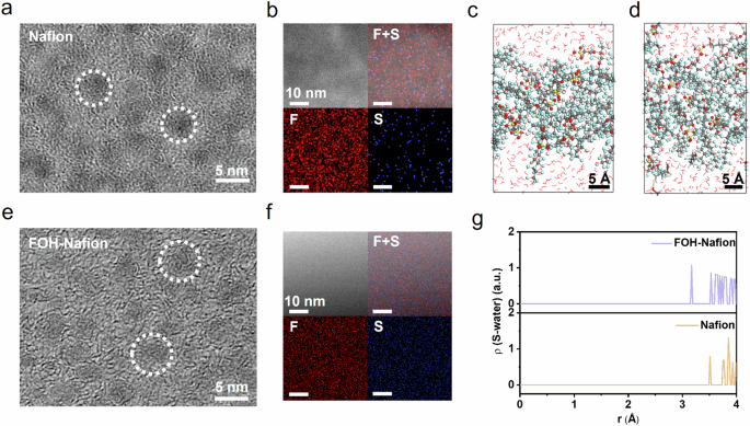 Fig. 2: Morphology, composition distribution and molecular dynamics (MD) simulations of FOH-Nafion film.
