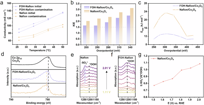 Fig. 3: Electrochemical and spectroscopic characterizations of FOH-Nafion ionomer.