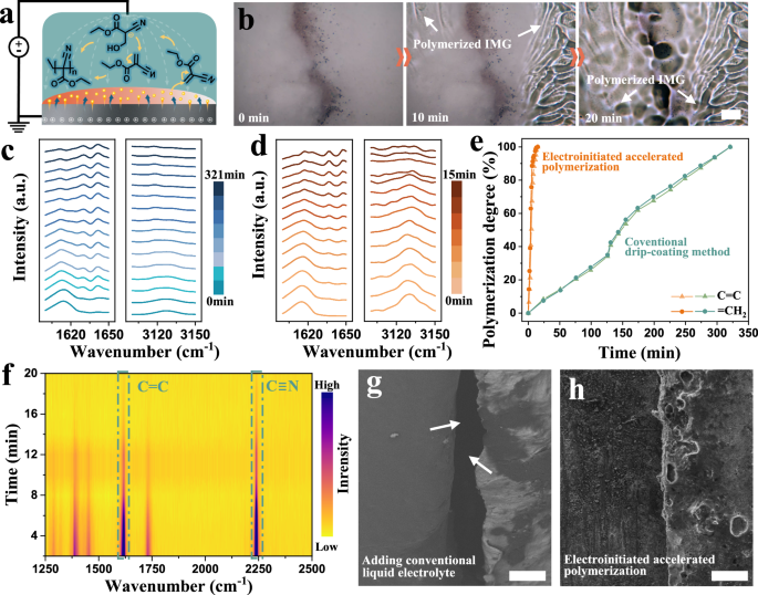 Fig. 2: Electroinitiatetd accelerated interfacial healing mechanism.