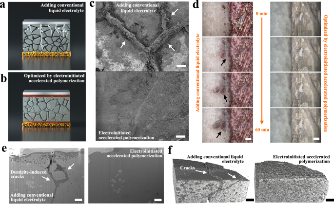 Fig. 5: Evaluation of dendrite propagation and crack expansion.