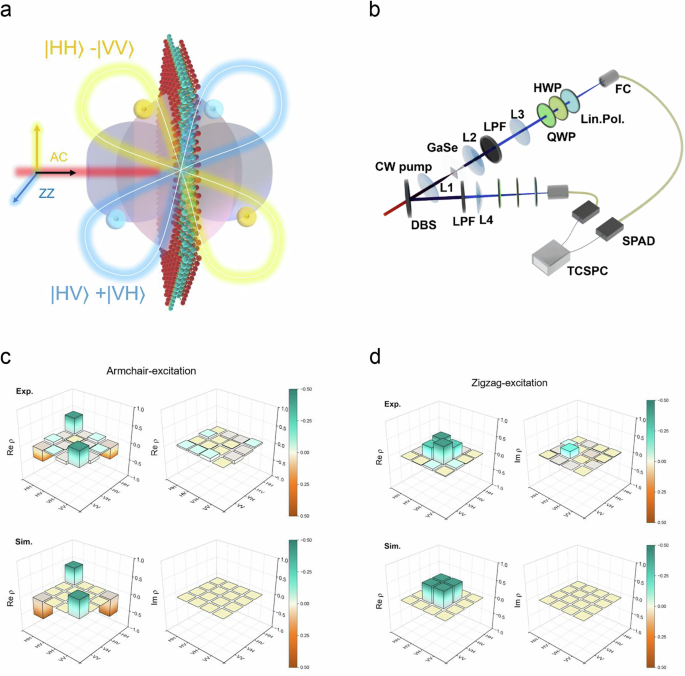 Fig. 3: Counter-propagating polarization-entangled photon pairs from a GaSe monolayer.