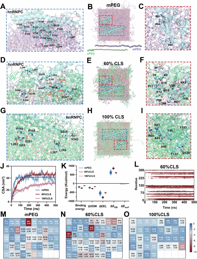 Fig. 4: Simulated landscape for the adsorption of hnRNPC onto AuNPs.