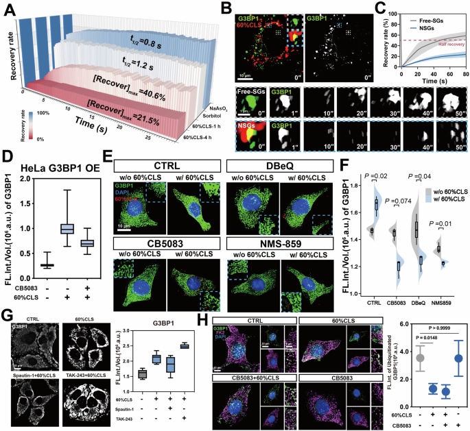 Fig. 7: NSGs disassembly.