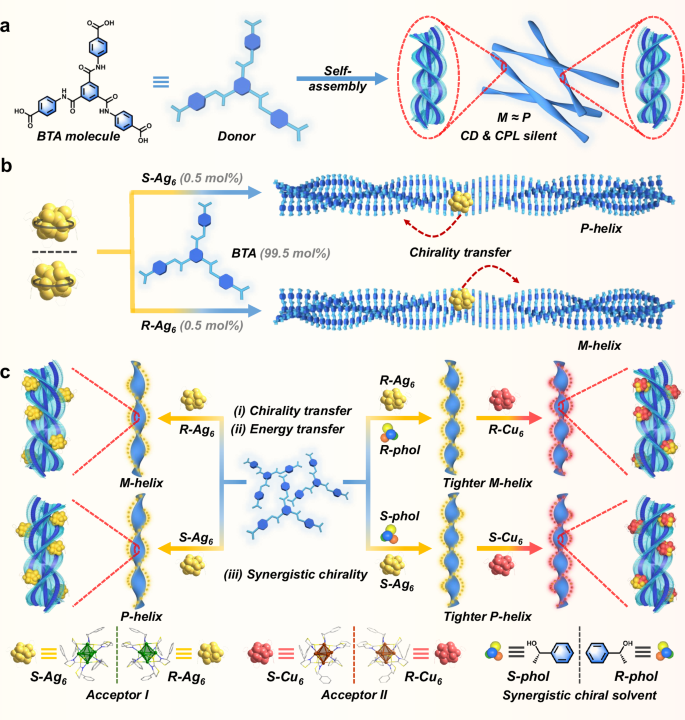 Fig. 1: Schematic illustration of the processes: the self-assembly of BTA molecules into racemic nanoribbons, the metal cluster-triggered formation of helical nanoribbons, and the construction of chirality-controlled LHSs mediated by metal clusters.