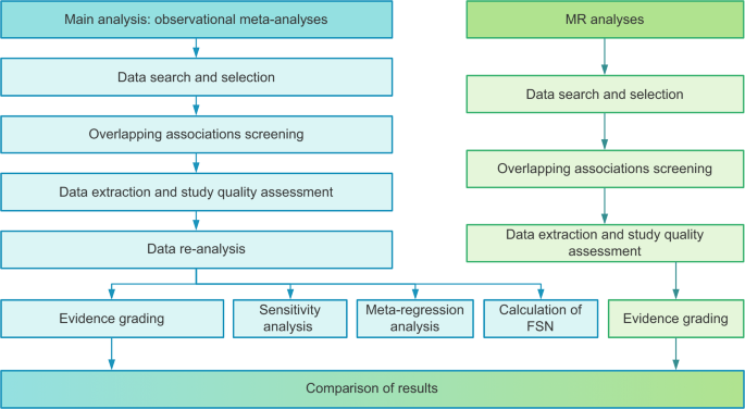 Fig. 5: The entire workflow diagram.