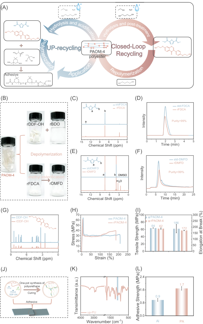 Fig. 6: Chemical recycling of PAOM.