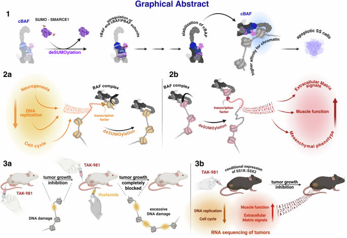 Fig. 10: Graphical abstract of the study.