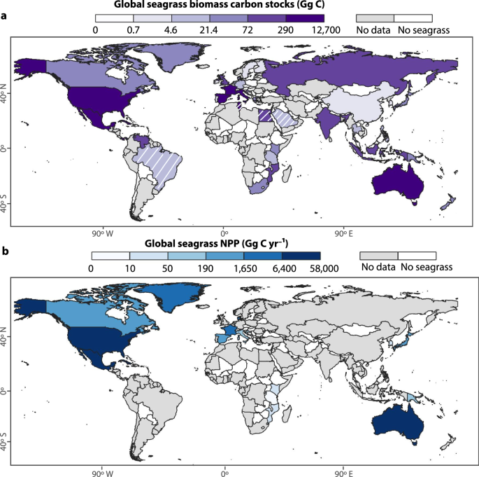 Fig. 2: Global seagrass biomass carbon stocks and seagrass net primary production (NPP) across countries.