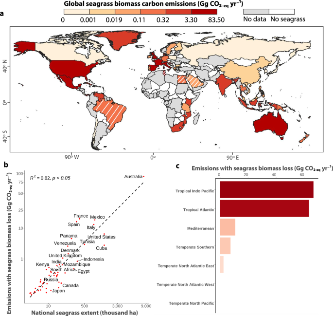 Fig. 4: Distribution of annual carbon emissions (CO2 equivalents) only from seagrass biomass linked to habitat loss per country.